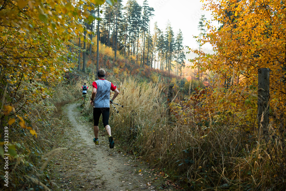 Fototapeta premium two runners training in on the autumn forest trail in the morning