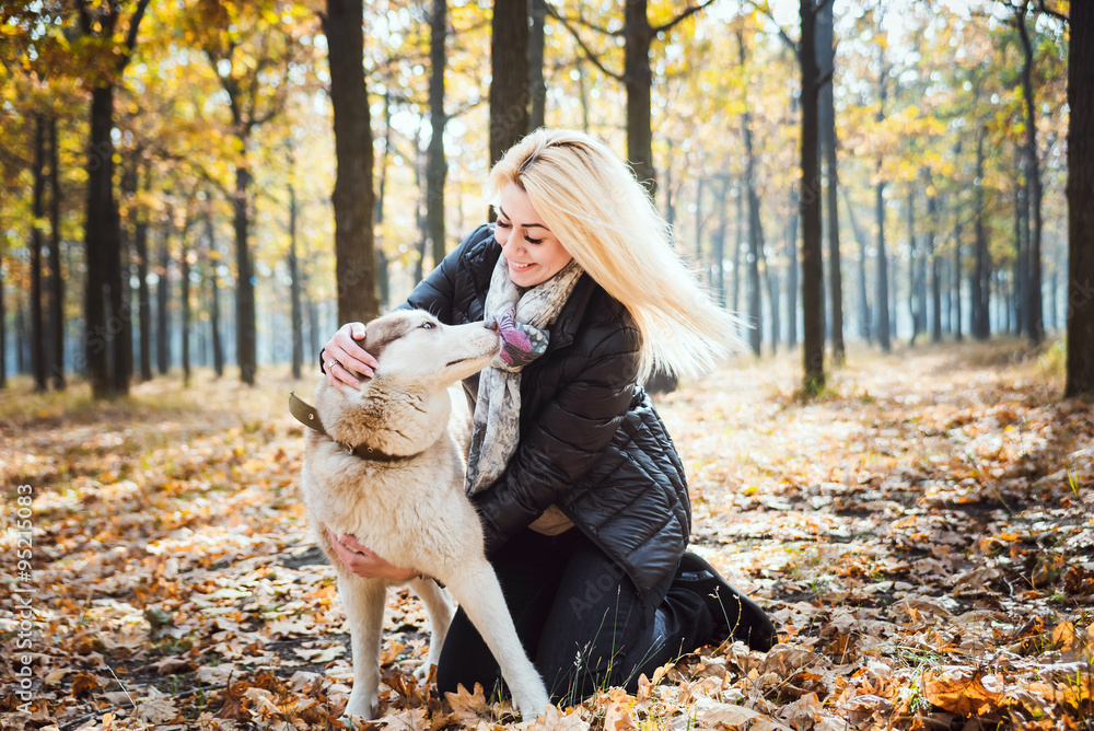 young beautiful female having fun with siberian husky in autumn park young beautiful female having fun with siberian husky in autumn park