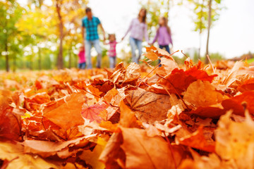 Autumn maple leaves close-up and family on back