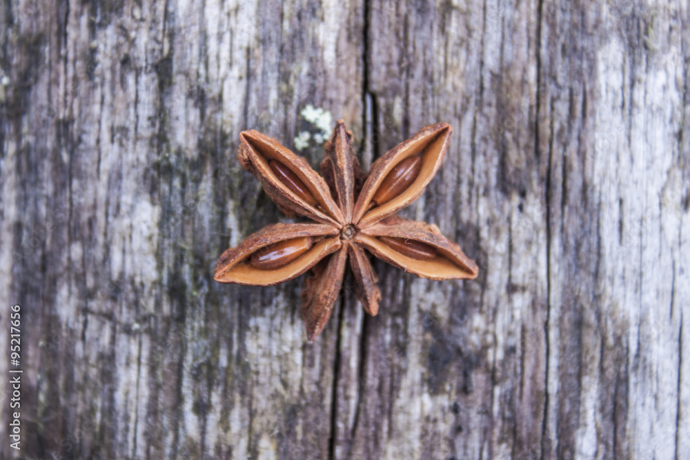 Fototapeta premium Pimpinella anisum star anise