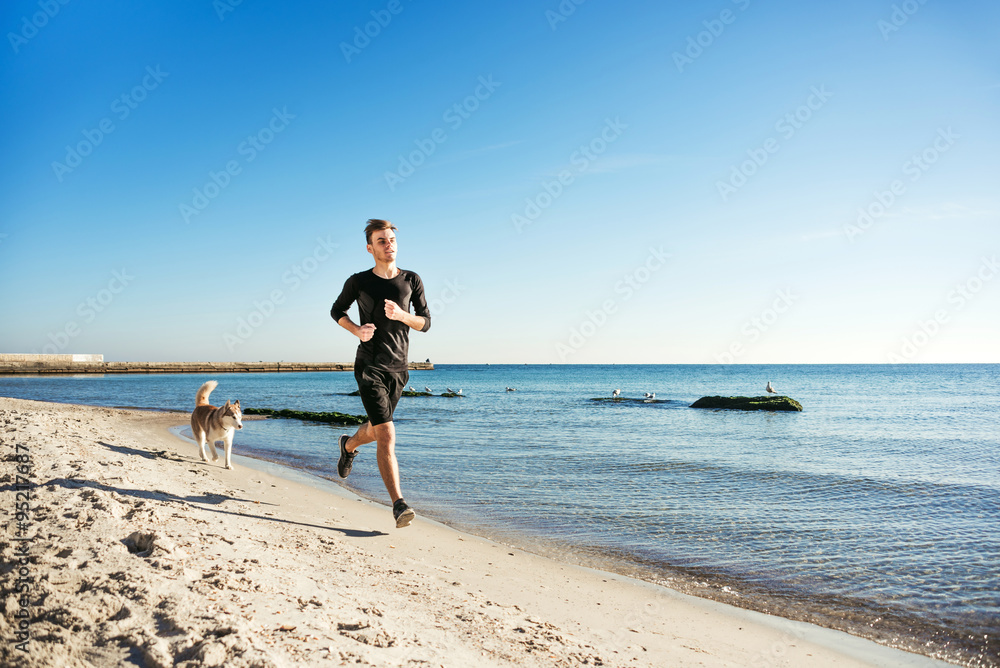 Running man. Male runner jogging with siberian husky dogs during the sunrise on beach