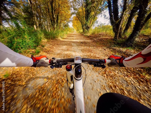 andando in bicicletta in autunno in campagna. pov originalmpoin of view