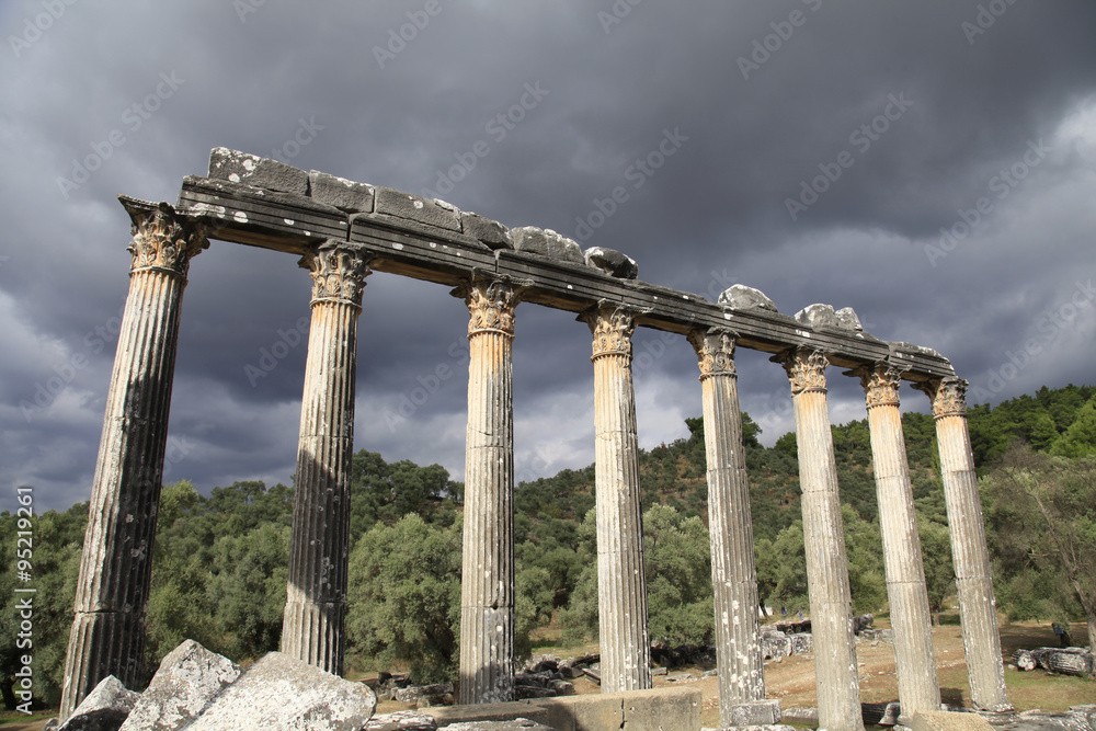 Temple of Zeus, ancient Greek settlement Euromos near Milas, Tur