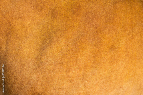 animal skin - genuine texture bull brown background