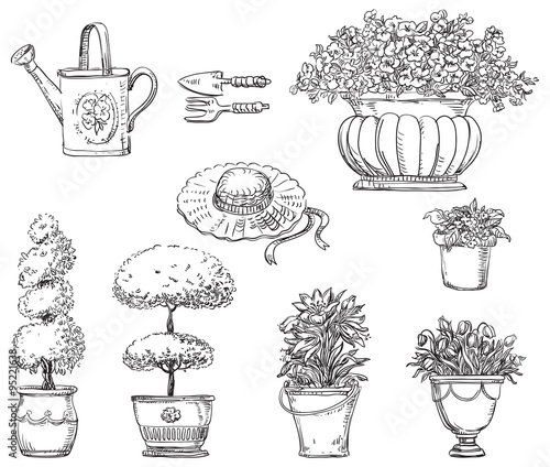 Flowers in garden. Vector set of garden icons  at engraved style