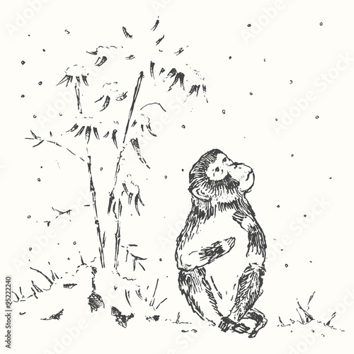 Photography Chinese  monkey snow new year drawn sketch