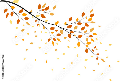 Autumn tree with yellow leaves