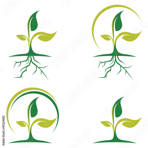 Leaf and Root of Green Plant Logo Icon