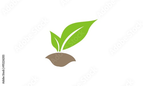 live plants logo © althaf_stock