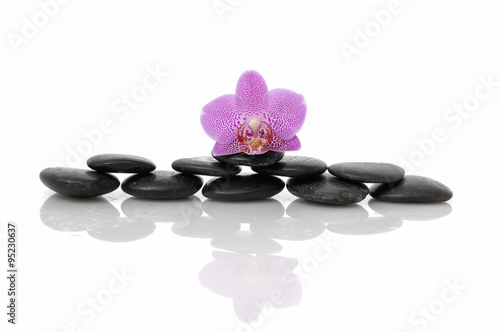 Macro of pink orchid on stones