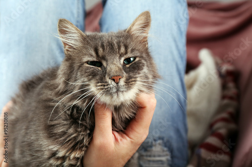 Foto Woman takes in hands beautiful grey cat on sofa in the room