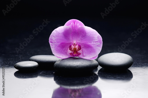 Still life with pink orchid on zen black stones 