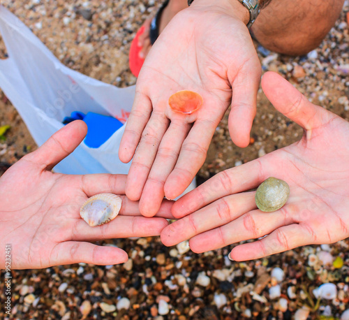 diversity shell