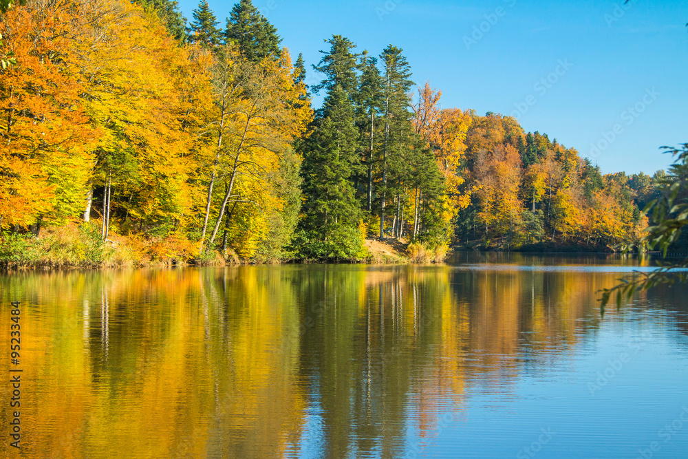 Reflection of trees on Trakoscan lake in Zagorje, Croatia, season, autumn