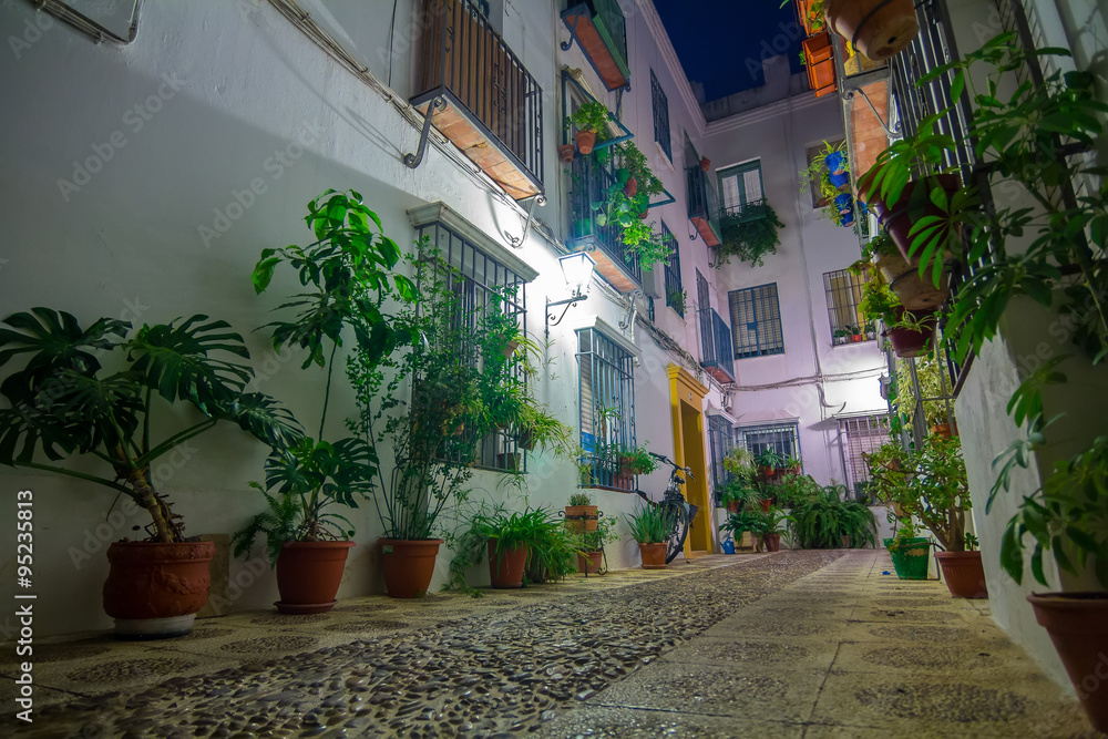 typical Andalusian courtyard decorated with flowers in the city of Cordoba Spain