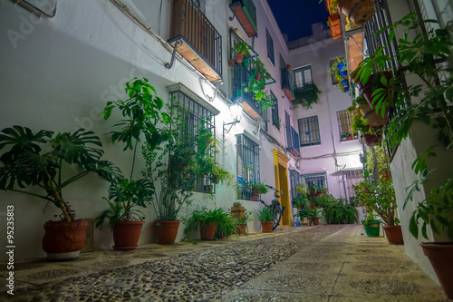 Fototapeta Naklejka Na Ścianę i Meble -  typical Andalusian courtyard decorated with flowers in the city of Cordoba Spain