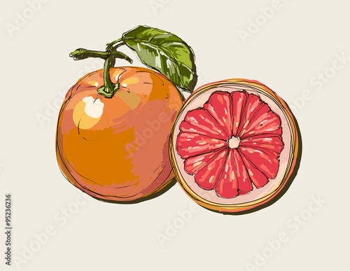 Vector fresh ripe grapefruit with leaves.