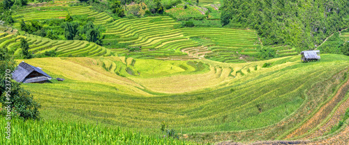 Terraced fields and terraced houses each prepared yellow rice harvest. This is the pride of the farmers have known this place for creativity in agriculture hills