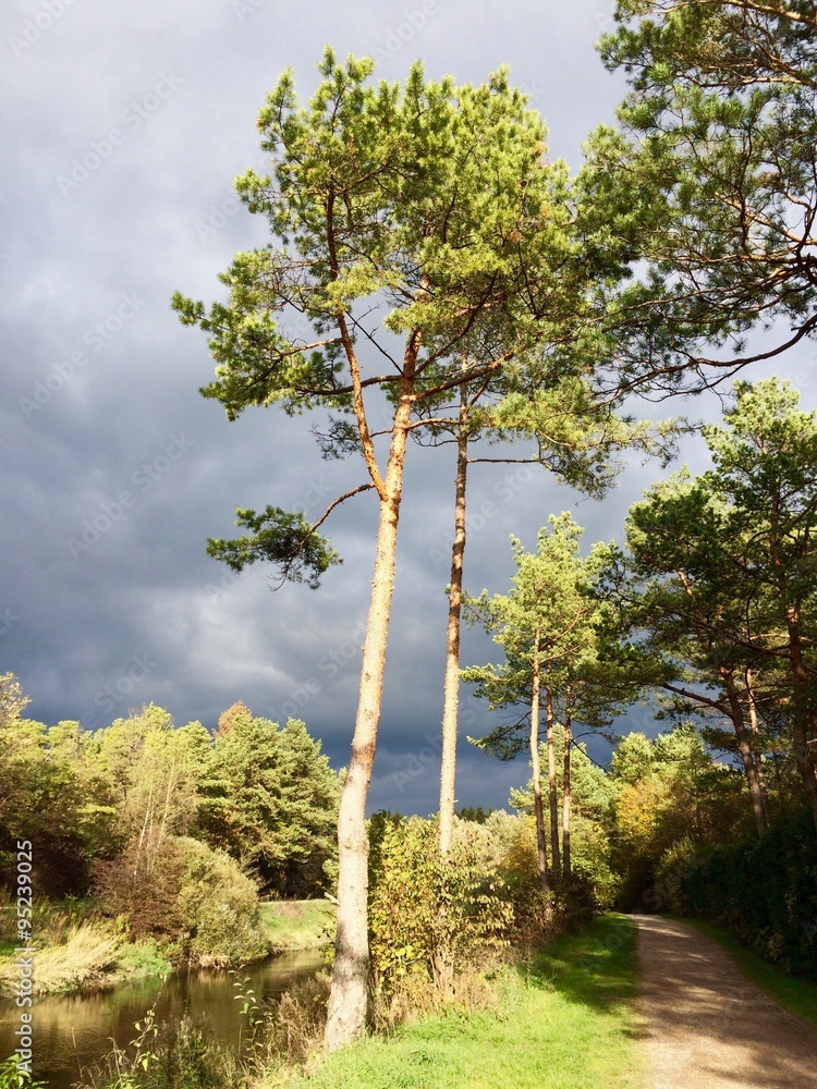 Fototapeta premium Spazierweg am Kanal