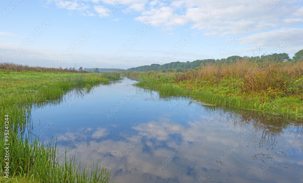 Shore of a lake below a blue cloudy sky in autumn