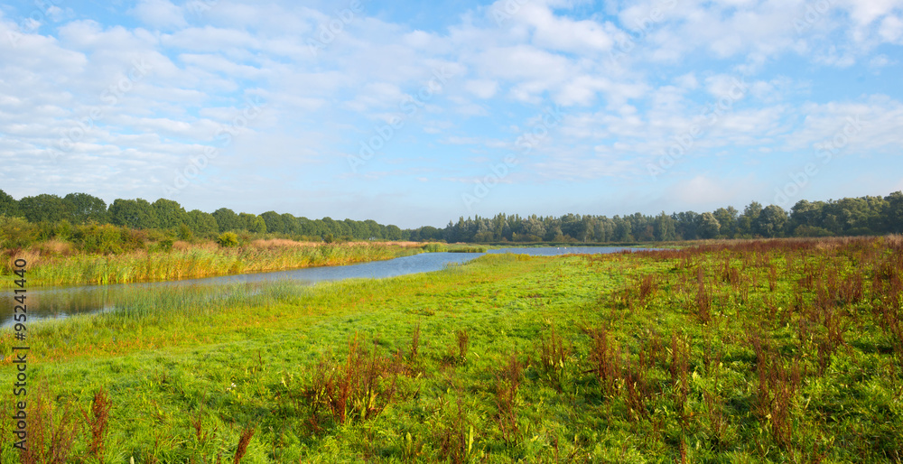 Fototapeta premium Shore of a lake below a blue cloudy sky in autumn