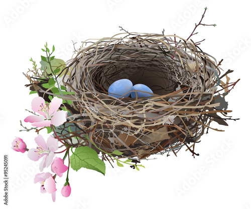 483,452 Bird Nest Royalty-Free Images, Stock Photos & Pictures