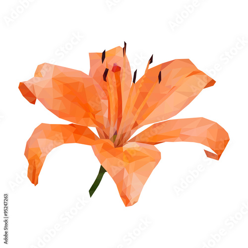 polygonal orange lily, polygon triangle flower, isolated vector