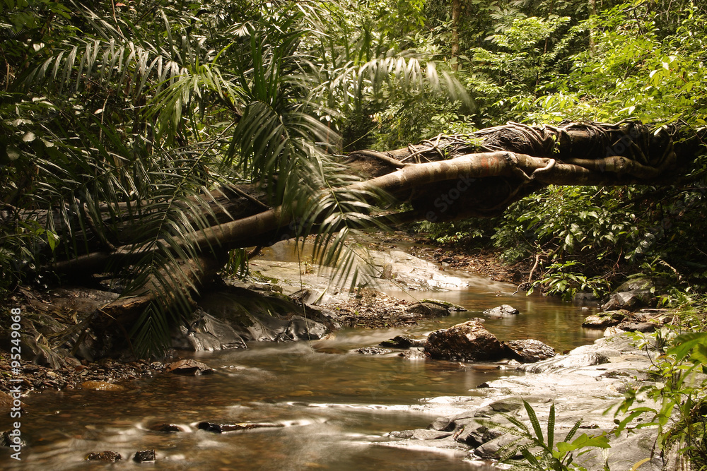 Fototapeta premium Klong Jark waterfall, Island Koh Lanta, Thailand