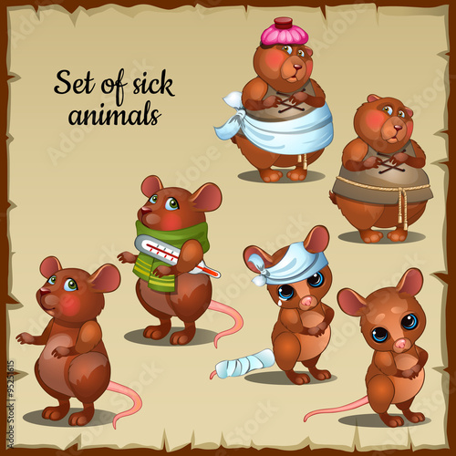 Sick and healthy mice and hamsters