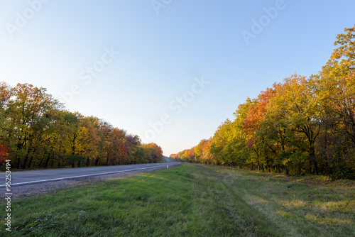 Autumn forest highway with colorful trees and leaves 