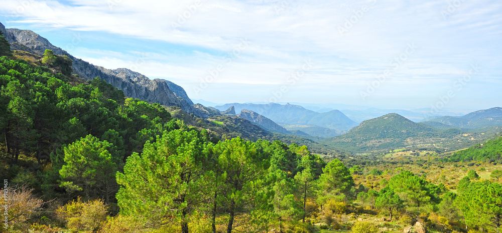 Panoramic view of the Sierra  of Grazalema Natural Park, Cadiz province, Spain
