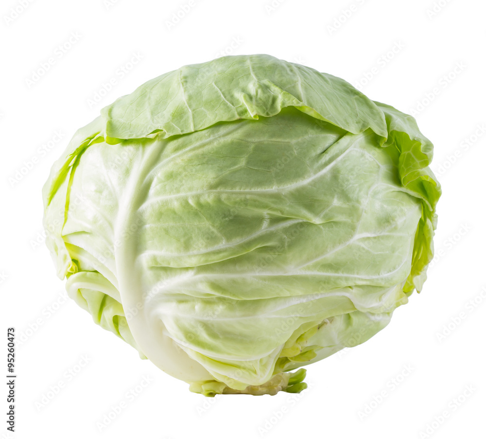 cabbage cabbage