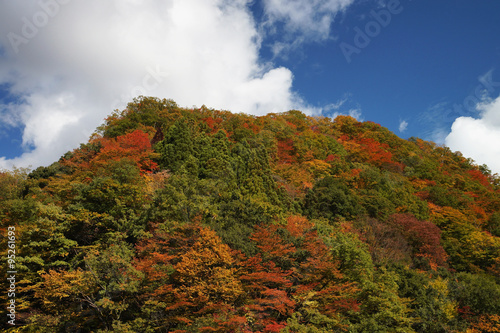 黒部峡谷 紅葉の山