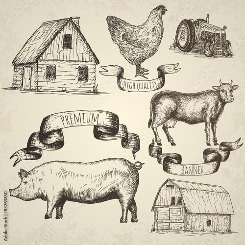 Farm collection. Hand drawn isolated elements.