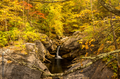 Autumn Colors Frame Forest Waterfall