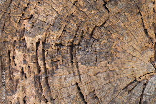 Cut of Old wooden structure pattern