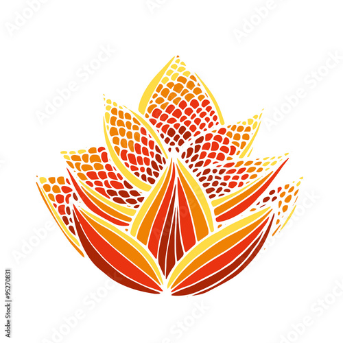 Flower of lotus