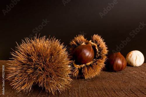 Ricci e castagne su fondo neutro