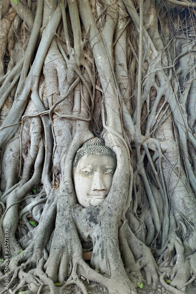 Buddha head in tree root at ayutthaya Buddha head in tree root at ayutthaya