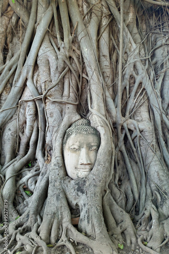 Buddha head in tree root at ayutthaya © arraymax
