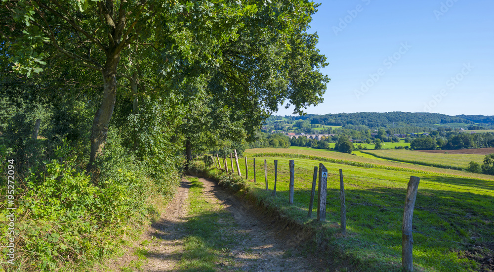 Path along fields and trees in summer
