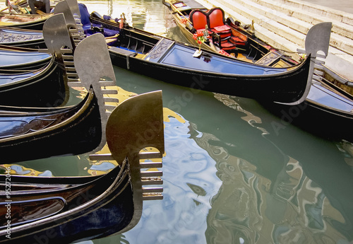 the symbol of Venice © Enrico Della Pietra