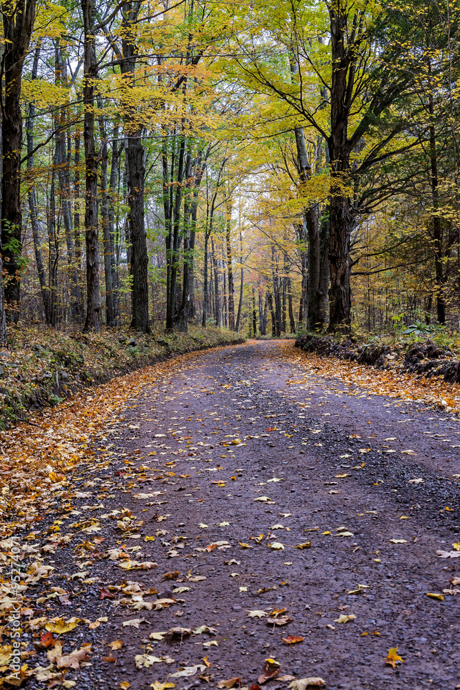 Fototapeta premium A stroll through the country side
