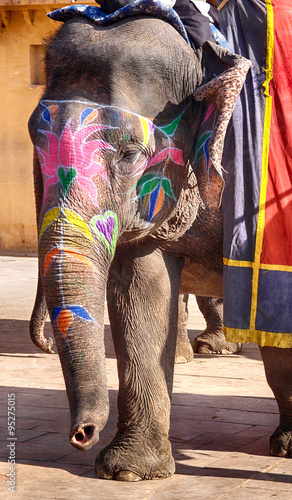 Bemalter Elefant im Amber Fort, Indien, Rajasthan 2