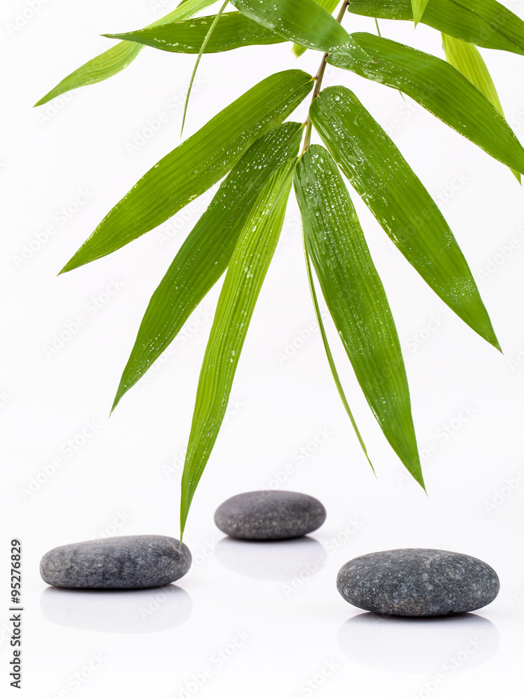 The Stones spa treatment scene and bamboo leaves with raindrop z The Stones spa treatment scene and bamboo leaves with raindrop z