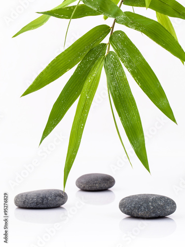 The Stones spa treatment scene and bamboo leaves with raindrop z