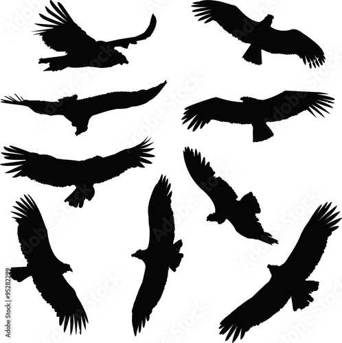 A set of Condor illustration silhouettes.