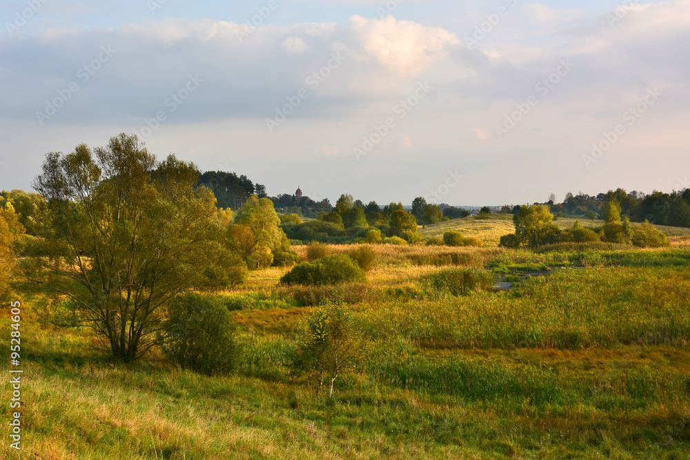 Landscape with meadows and marsh
