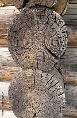 rings on old wooden logs