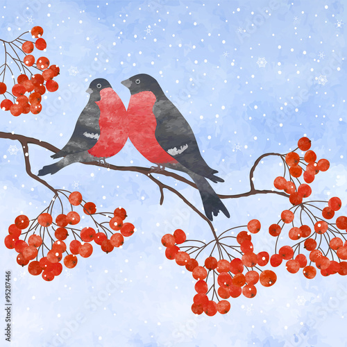 Winter card  with bullfinch